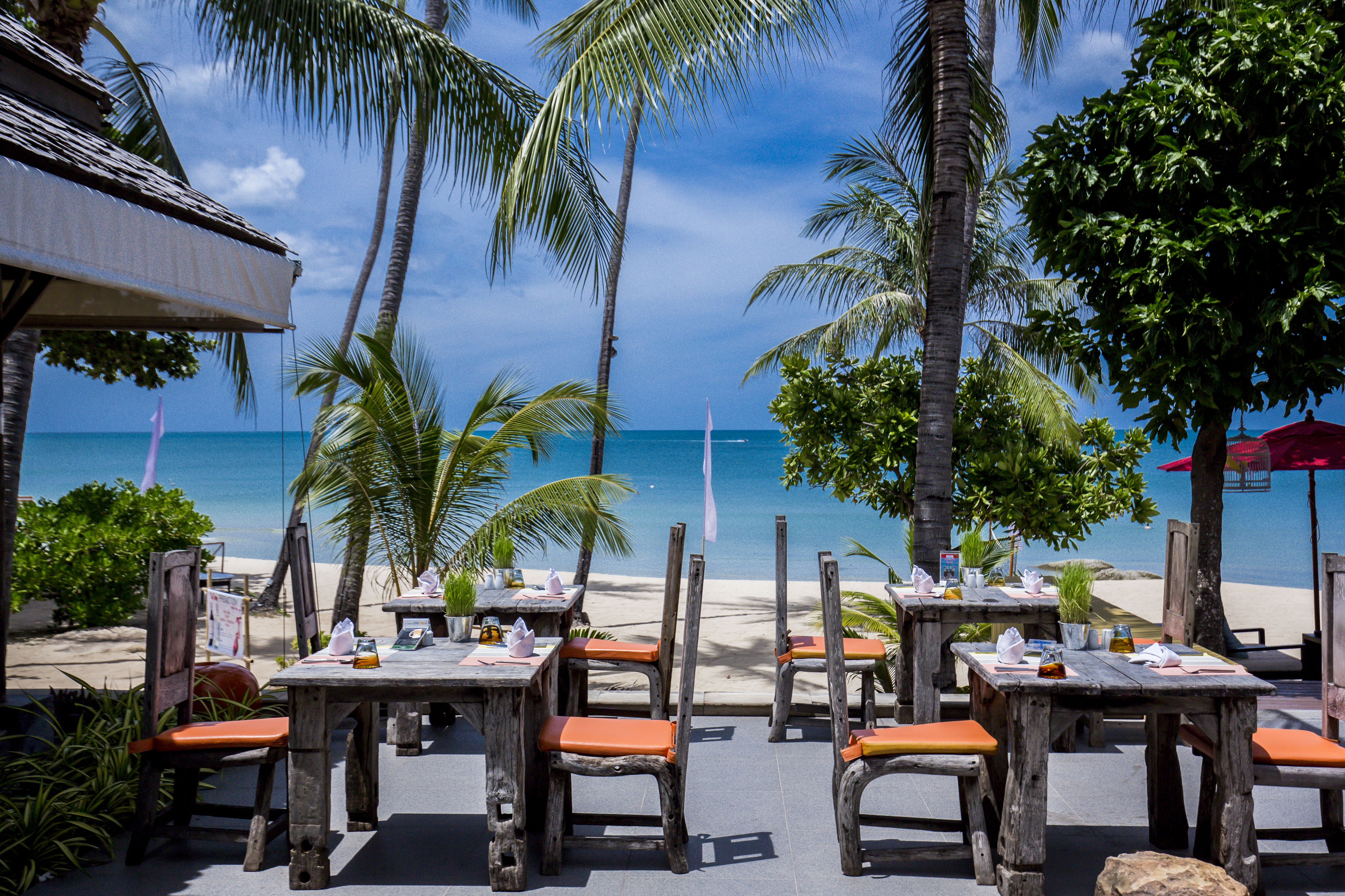 NEW STAR BEACH RESORT