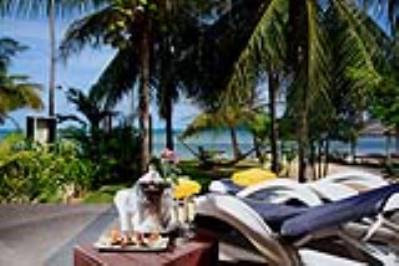 CENTARA LIFE COCONUT BEACH RESORT SAMUI