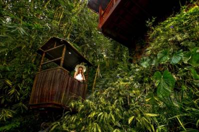 NANDINI JUNGLE BY HANGING GARDENS