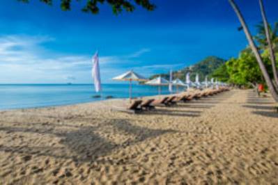 NEW STAR BEACH RESORT