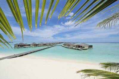 PARADISE ISLAND RESORT & SPA
