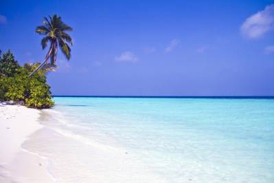 SAFARI ISLAND RESORT & SPA